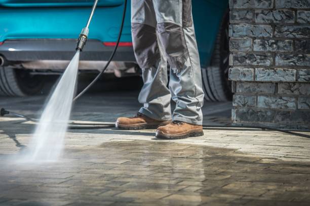 Best Pre-Holiday Cleaning  in Shingletown, CA