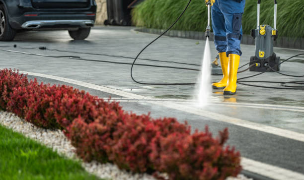 Best Patio and Deck Pressure Washing  in Shingletown, CA